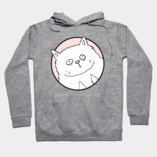 Cat Doesn't Care Hoodie